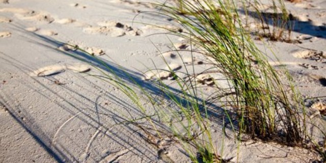 Poshmark banner for @momentary